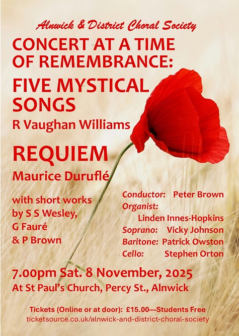 Poster with single red poppy